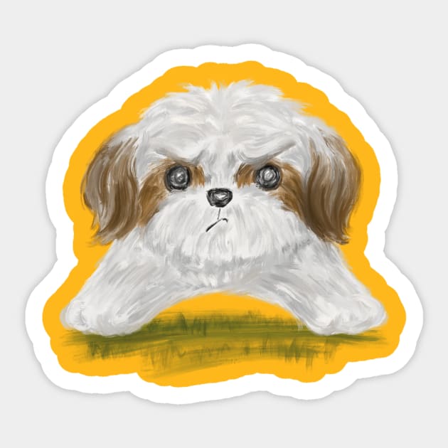 Grumpy shih tzu discount